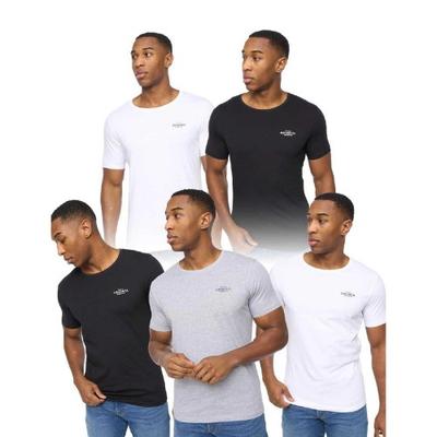Mens Basicstandard T-Shirt (Pack of 5)