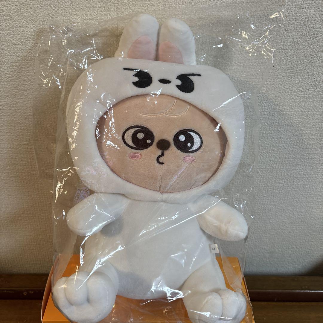 

[USED] skz huggable plush toy