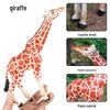 Giraffe Model Educational Toy for Kids' Science Learning