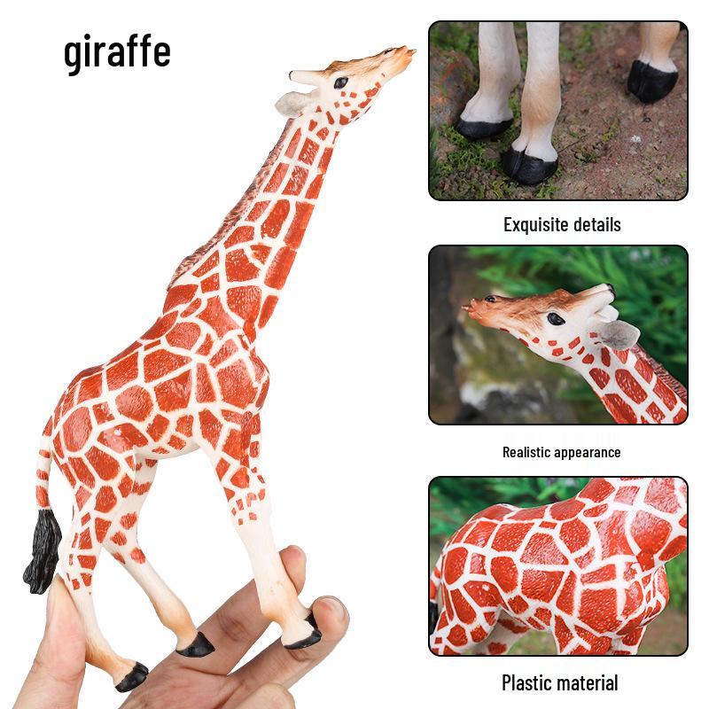 Giraffe Model Educational Toy for Kids' Science Learning