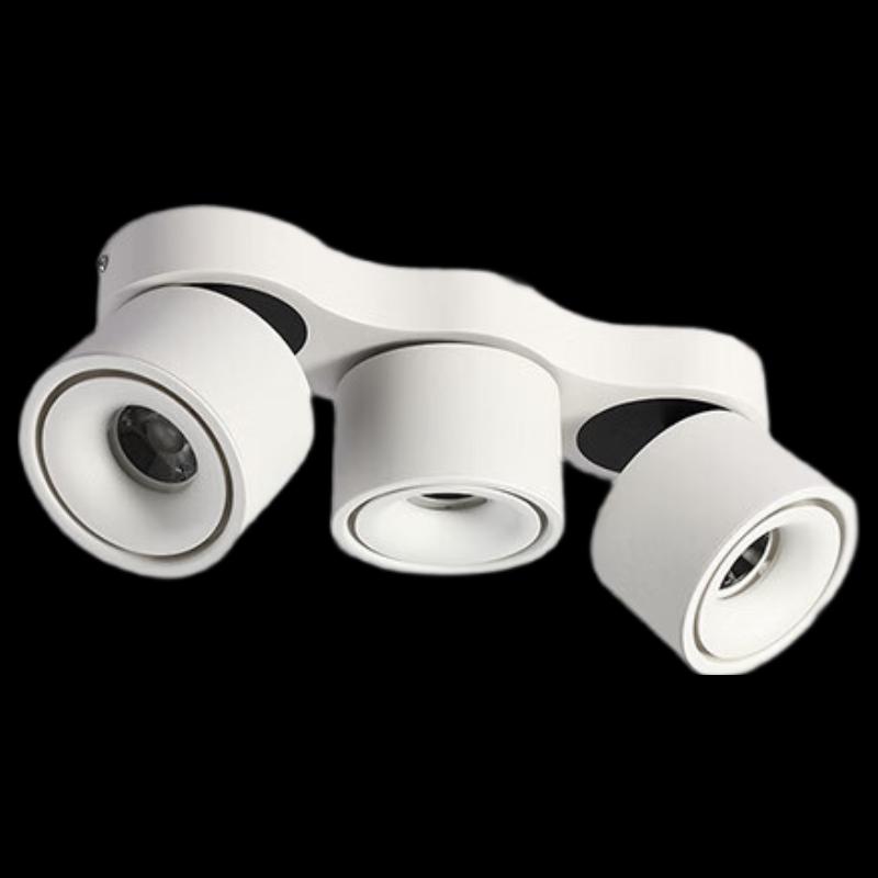 Nu Feng 3-Head 36W Surface Mounted LED Emergency Spotlight