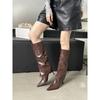 Internet Celebrity European and American Style Pants Boots Women's Autumn 2025 New High Heel Thin Heel Pointed But Knee Long Knight Boots