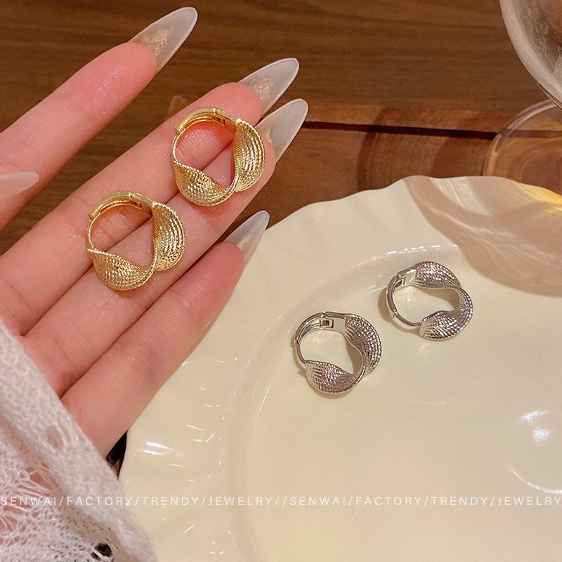 Design Sense Geometric Circle Texture Earrings Women's Light Luxury High-end Temperament Metal Ear Buckles Cold Wind Unique Earrings