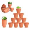 Lot of 20 Terracotta Pots 4 X 4.8 Cm – Mini Pots for Succulents with Drainage Hole