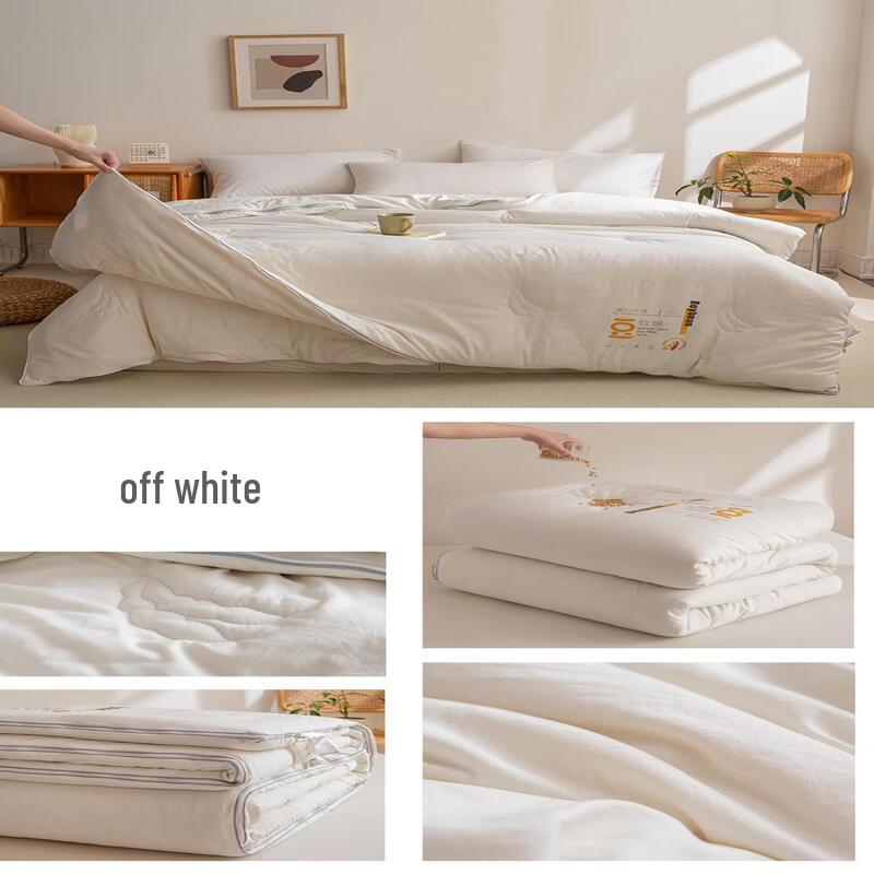 

Brangdy All-Season Soy Fiber Duvet Set