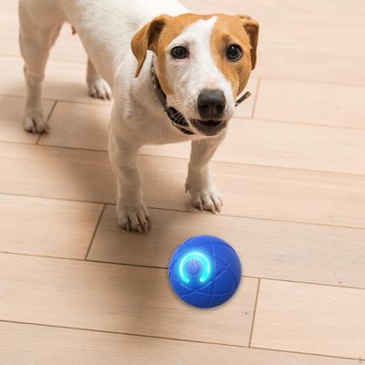 Hundespielzeug Ball Automatisch Beweglich Smart Springend Training Bewegungsaktiviert Haustiere Kauen für Welpen Klein