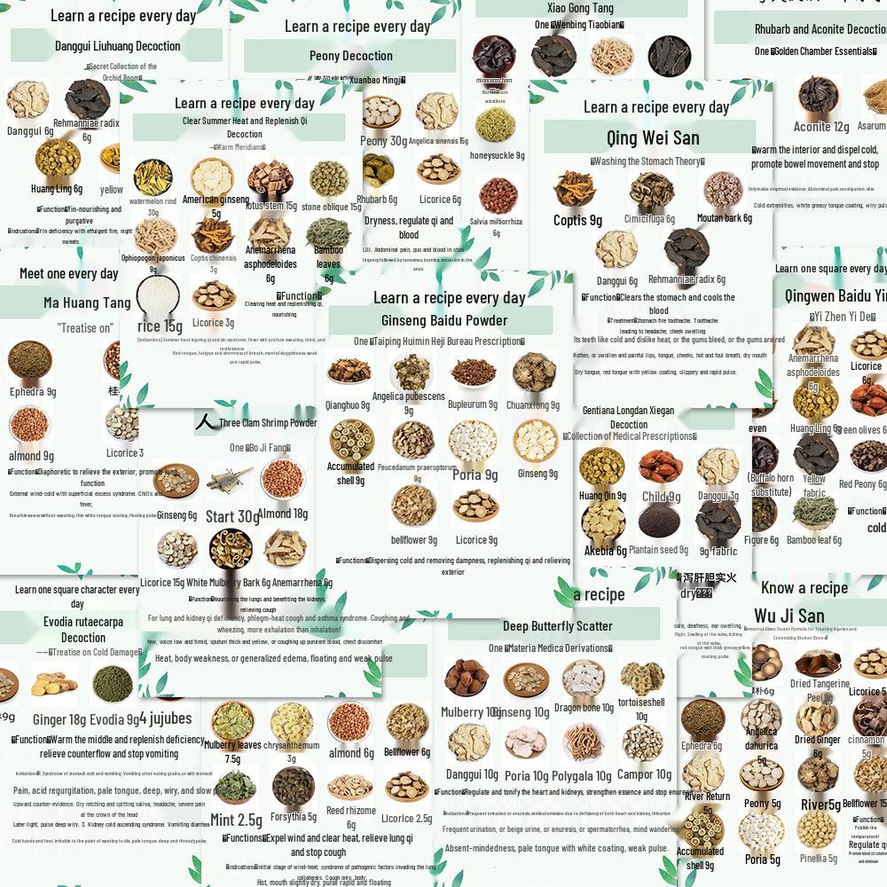 96 Sheets Daily Formula Stickers: Traditional Chinese Medicine Herbal Reference for Notebooks & iPads