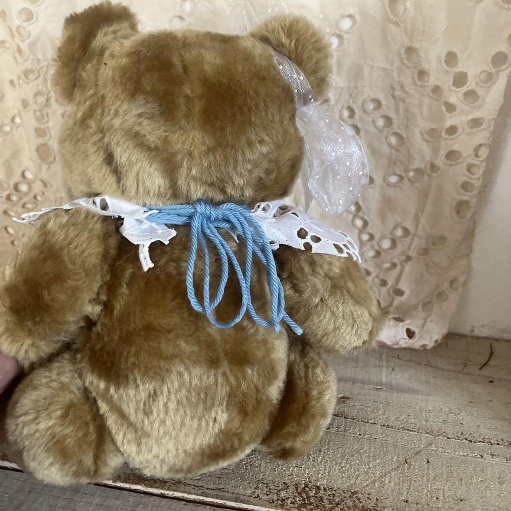 [USED] Vintage British teddy bear, approximately 22cm, price reduced from ¥6000 to ¥5500
