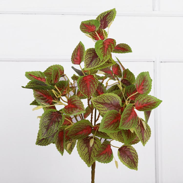 Feel simulation Begonia leaf handle bundle chicken heart leaf watermelon leaf single plant wall leaf green leaf