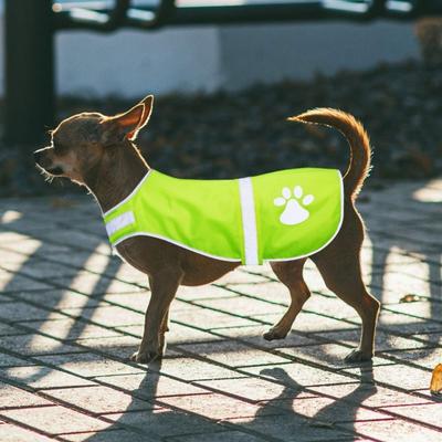 High Visibility Dogs Reflective Vest Fluorescent Ventilate Cozy Dog Vis Jacket Night Safety Adjustable Pet Clothes Pet Supplies