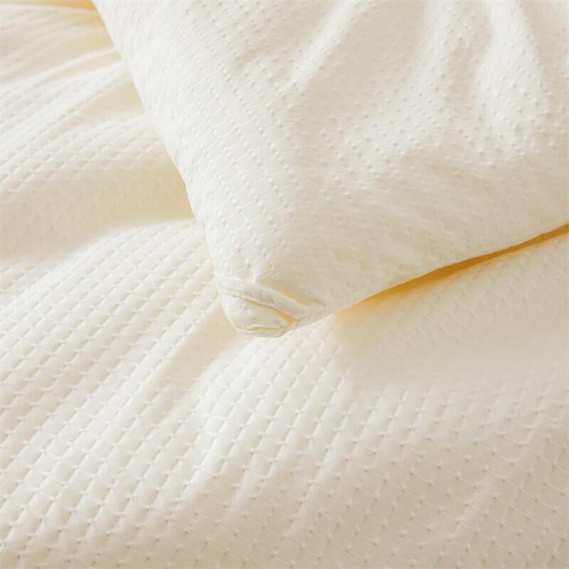 Southern Life Class A Silkworm Protein Jacquard Winter Quilt