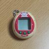 [GEBRAUCHT] EYEON FOXINY Tamagotchi SKZOO TAMAGOTCHI