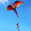 3D Dragon Kite for Adults with 100 Meter Line and Long Tail Designed for Outdoor Flying Activities and Fun