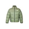 Nuptse 1996 Puffer Jacket NF0A3C8D-BO9