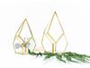 Geometric Glass Rhombus Greenhouse Ornament: European Wine Cabinet Micro Landscape & Preserved Flower Pot Craft