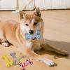 Dog Rope Toy Bone Shaped Dog Chew Toy for Teething Training Interactive Play Cotton Rope Pet Toy for Small Medium Dogs