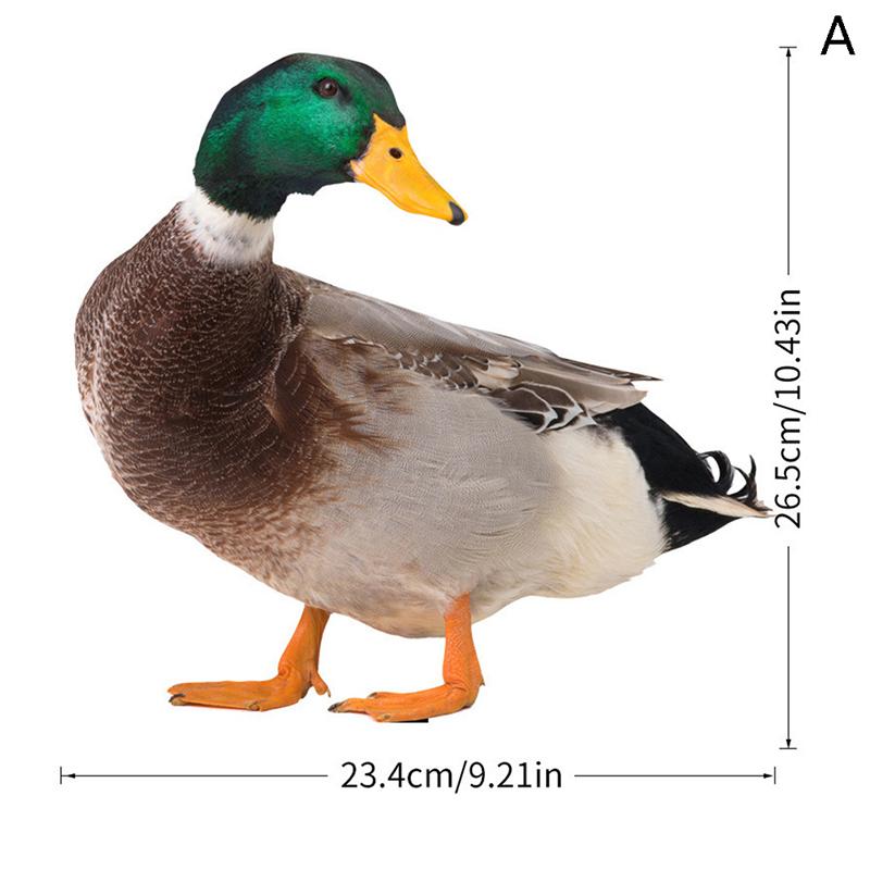 

Excellent Garden Poultry Statue Realistic Ornamental Eco-Friendly Courtyard Art Sculpture Duck Decor For Gardent A