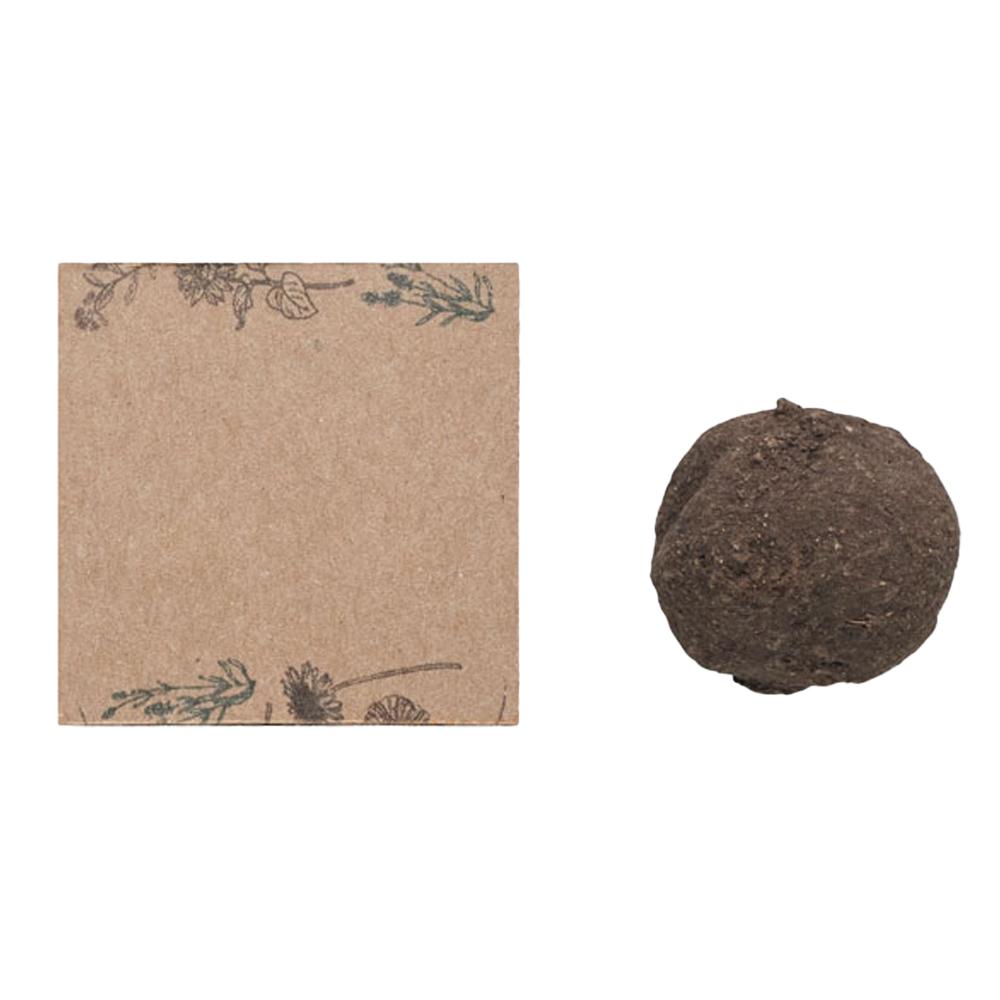 MidOcean Wildflower Bomb Seed Growing Kit