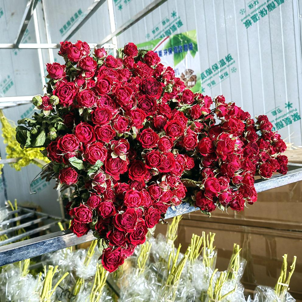 Yunnan Multi-head Rose Dried Flowers Epoxy Photography Props Rose Bouquet