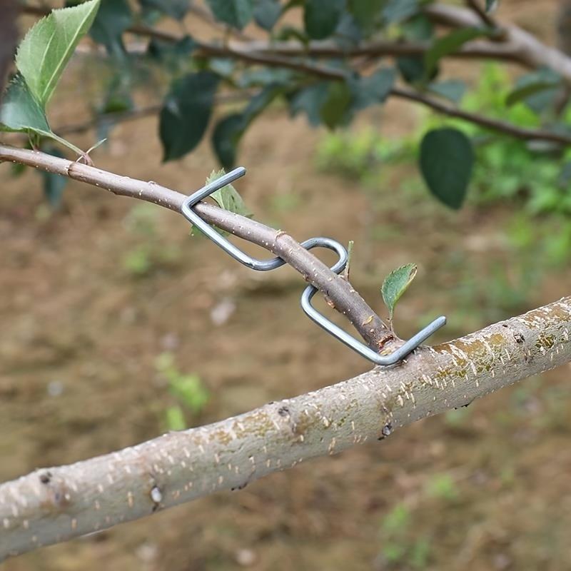 [50 buc Tragător Metalic de Ramuri] 50 buc Instrument Durabil Metalic pentru Tragerea Ramurilor de Grădină - Îndoitore Reutilizabil pentru Ramuri de Pom Fructifer pentru Modelarea și Antrenarea Arborilor