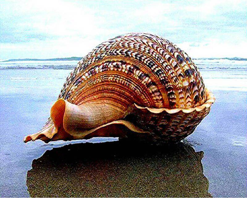 5D Diamond Painting Spring Landscape Flower Rainbow Pictures Of Rhinestones Diamond Embroidery Cross Stitch Cat Animal Mosaic Home Decor