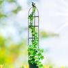 Vine Pillar Gardening Tomato Balcony Planting Rack Support Rod Climbing Vine Rack Flower Pot Holder