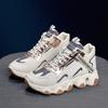 Korean Version of High-top Dad Shoes Women's Versatile Non-slip Women's Shoes New 2025 Spring and Autumn Explosion Increase Sports and Leisure Shoes