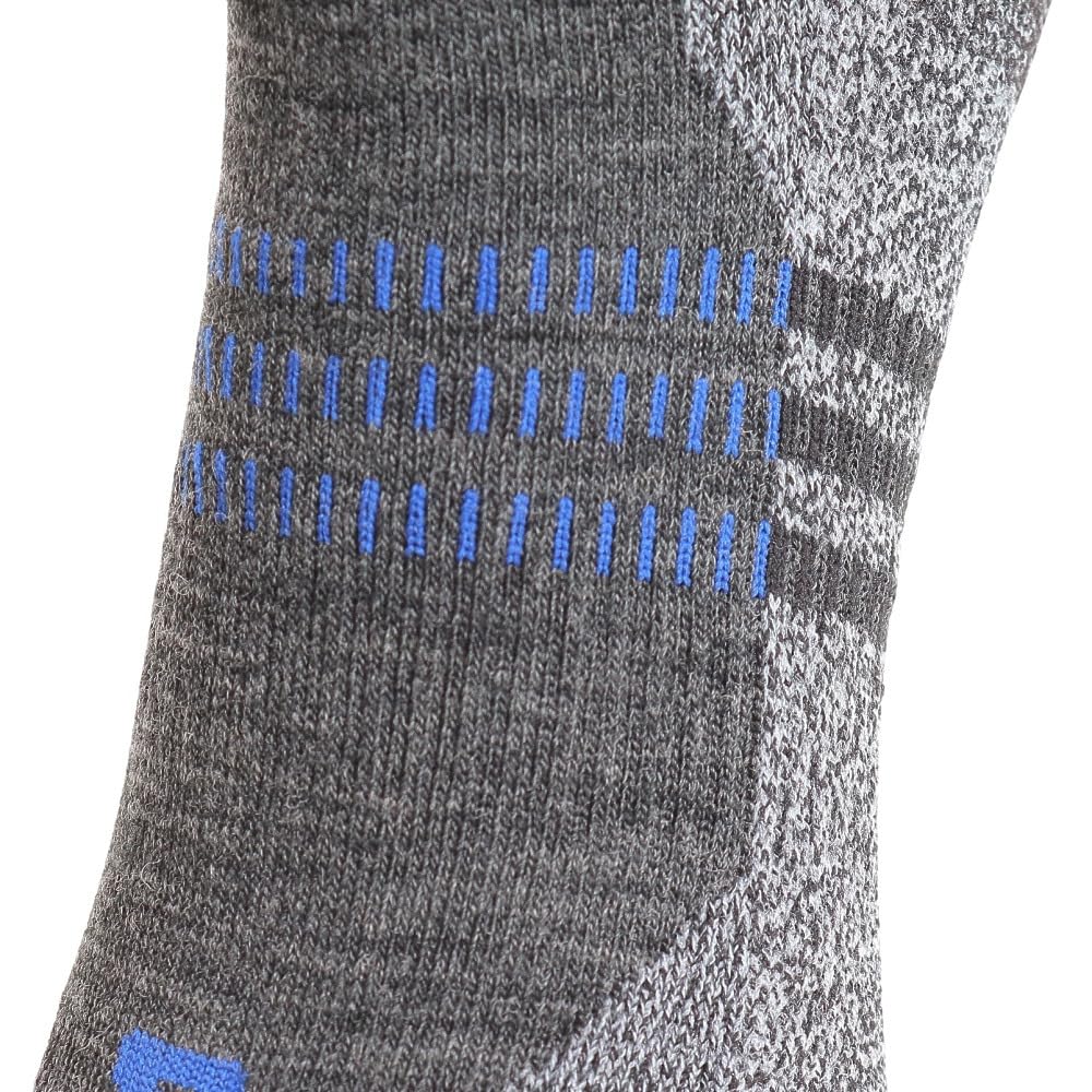 [Salomon] X Ultra Access Crew 2-Pac Socks Lc2083200 Unisex Anthracite/Black L