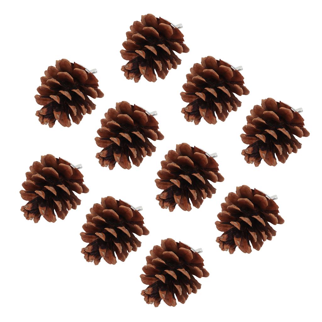 10pcs Bird Bite Pine Cones Natural Pine Cone Chewing Bird Toy for Parakeet Cockatiel Conure Finch Budgie Macaw