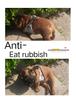 Universal Pet Dog Mask Adjustable Breathable Anti-Biting Anti-Eating Anti-Barking Short Mouth Bulldog Supplies