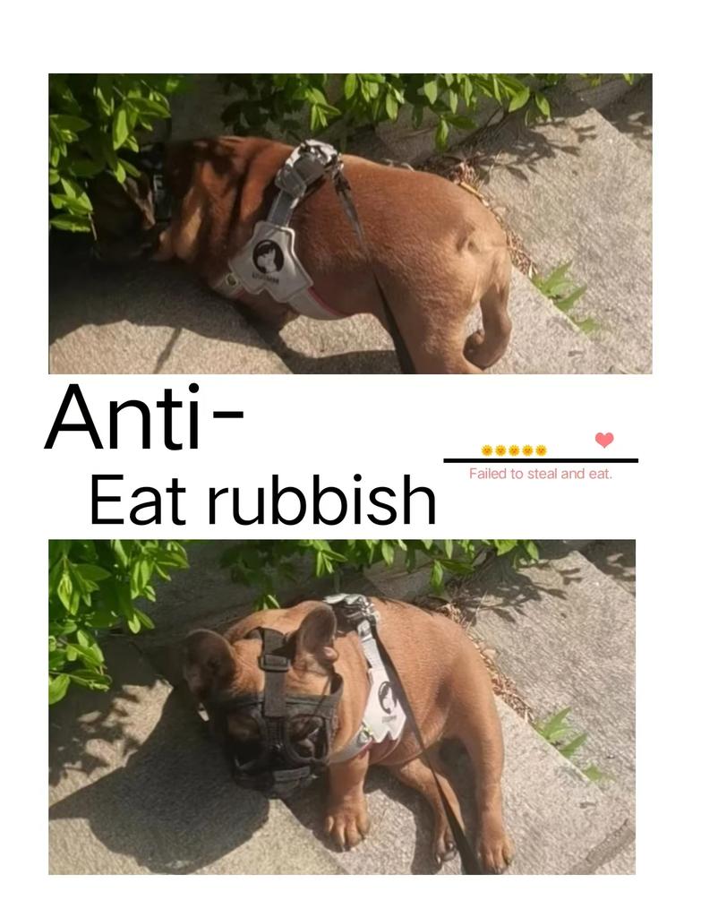 Universal Pet Dog Mask Adjustable Breathable Anti-Biting Anti-Eating Anti-Barking Short Mouth Bulldog Supplies