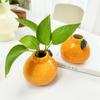 Ceramic Artificial Orange Fruit Planter Desktop Decor Handmade Glazed Modern Mini Vase Office Home Gift