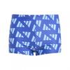 Boys Geometric Swimming Trunks