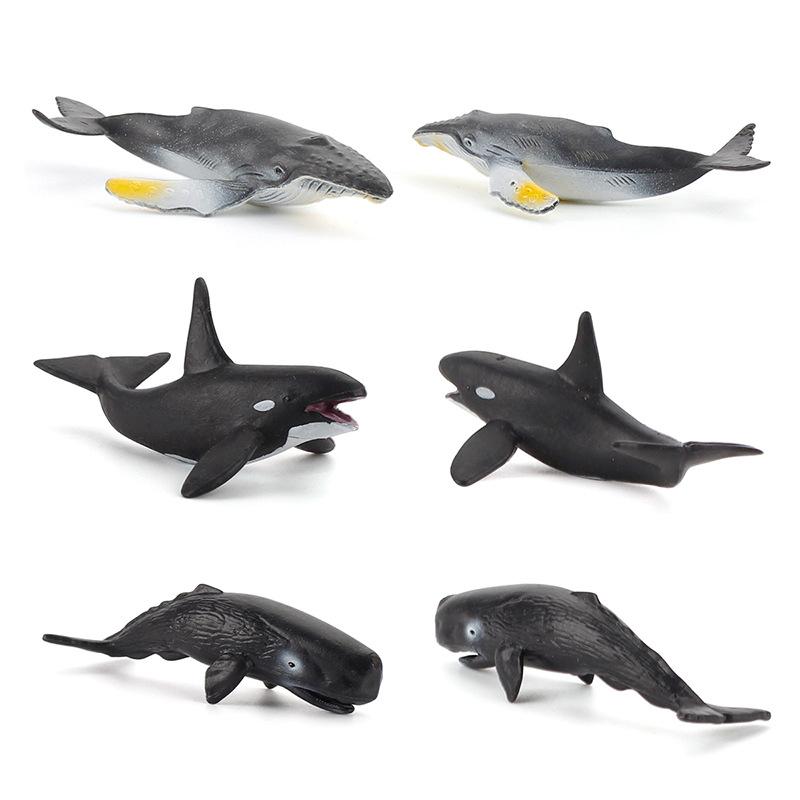 Simulation 6-Piece Set Of Marine Life Bowhead Whale Humpback Whale Killer Whale Mini Whale Toy Model
