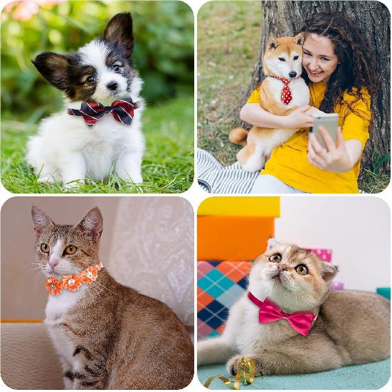 Chumia 100 Pcs Adjustable Dog Ties Set Includes 50 Bow Ties 25 Neckties 25 Flower Neck Tie Assorted Bowtie Collar Grooming Accessories for Medium