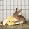 Simulated Buttocks Rabbit Soothing Ball Comfortable Hamster Venting Ball  Small Animal