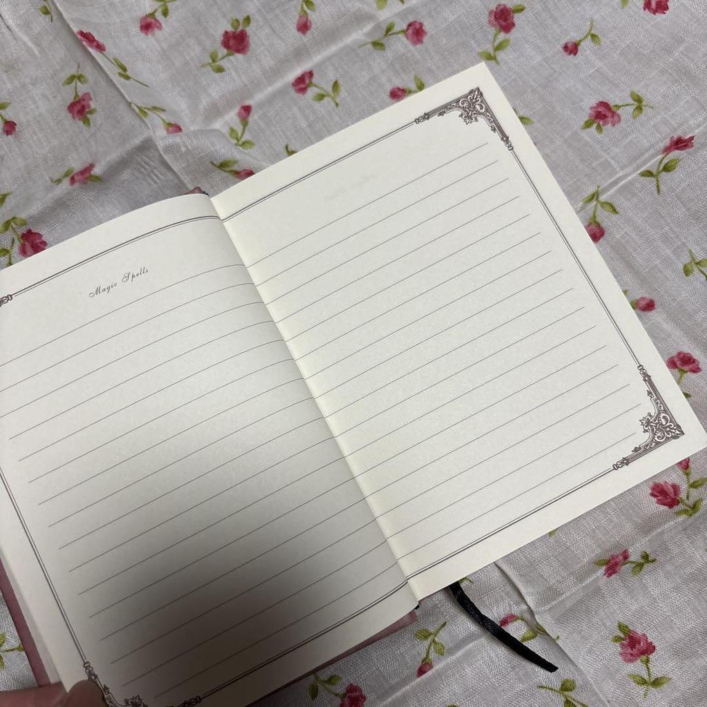 [GEBRAUCHT] Zaubersprüche Zauberbuch Tagebuch Notizbuch Harry Potter