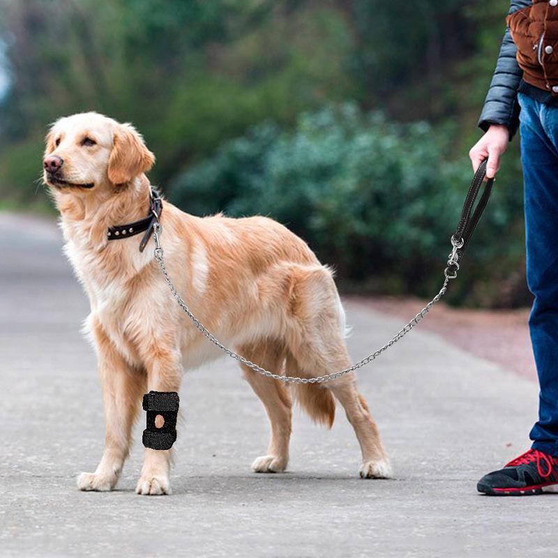 Beinstütze für Haustiere: Knieprotektor für Hunde & Katzen