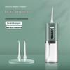MiLing Portable Electric Oral Irrigator CN Plug (adapter Included)