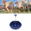 Plastic   Feeder, Made of High Quality Plastic, 5 Slot Round   Food Bowl with   Edges, Easy to Wash and Maintain,