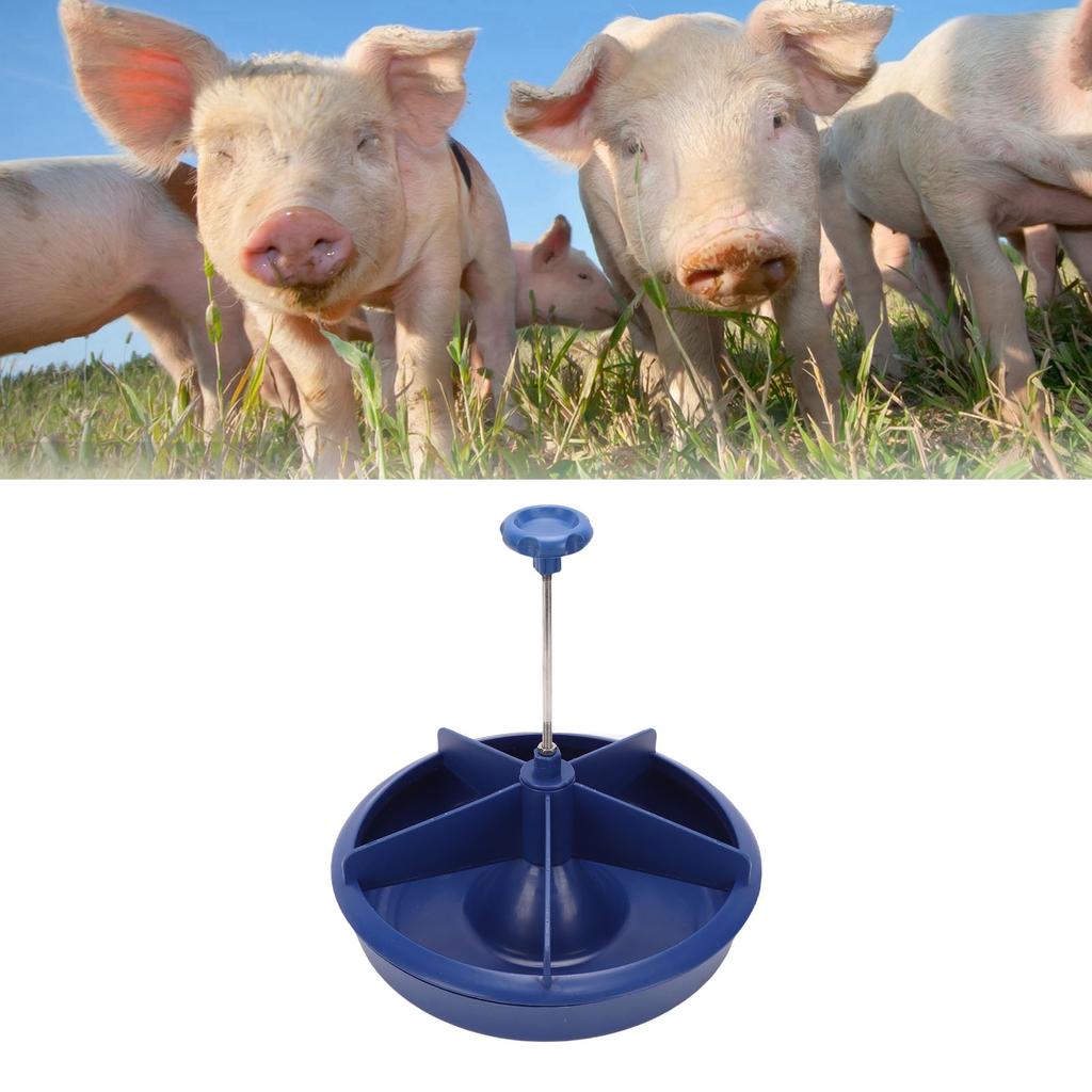 Plastic   Feeder, Made of High Quality Plastic, 5 Slot Round   Food Bowl with   Edges, Easy to Wash and Maintain,