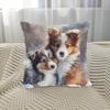 Shetland Sheepdog Puppy Kussenslopen Stoel Woonkamer Kussensloop Gezellig Rits Bank Kussenslopen Slaapkamer Binnen Huis Decoratie