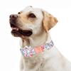 Shulemin Practical Dog Collar Floral Pattern for Small Medium Large Dogs All-match