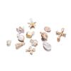 10/20Pcs/Lot Mix Acrylic Shell Conch Starfish Charm Pendants for DIY Women Earring Bracelet Necklace Jewelry Making Accessories