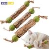 3pcs Cat Cleaning Teeth Pure Natural Catnip Cat Molar Toothpaste Stick Silvervine Actinidia Fruit Matatabi Cat Snack Stick