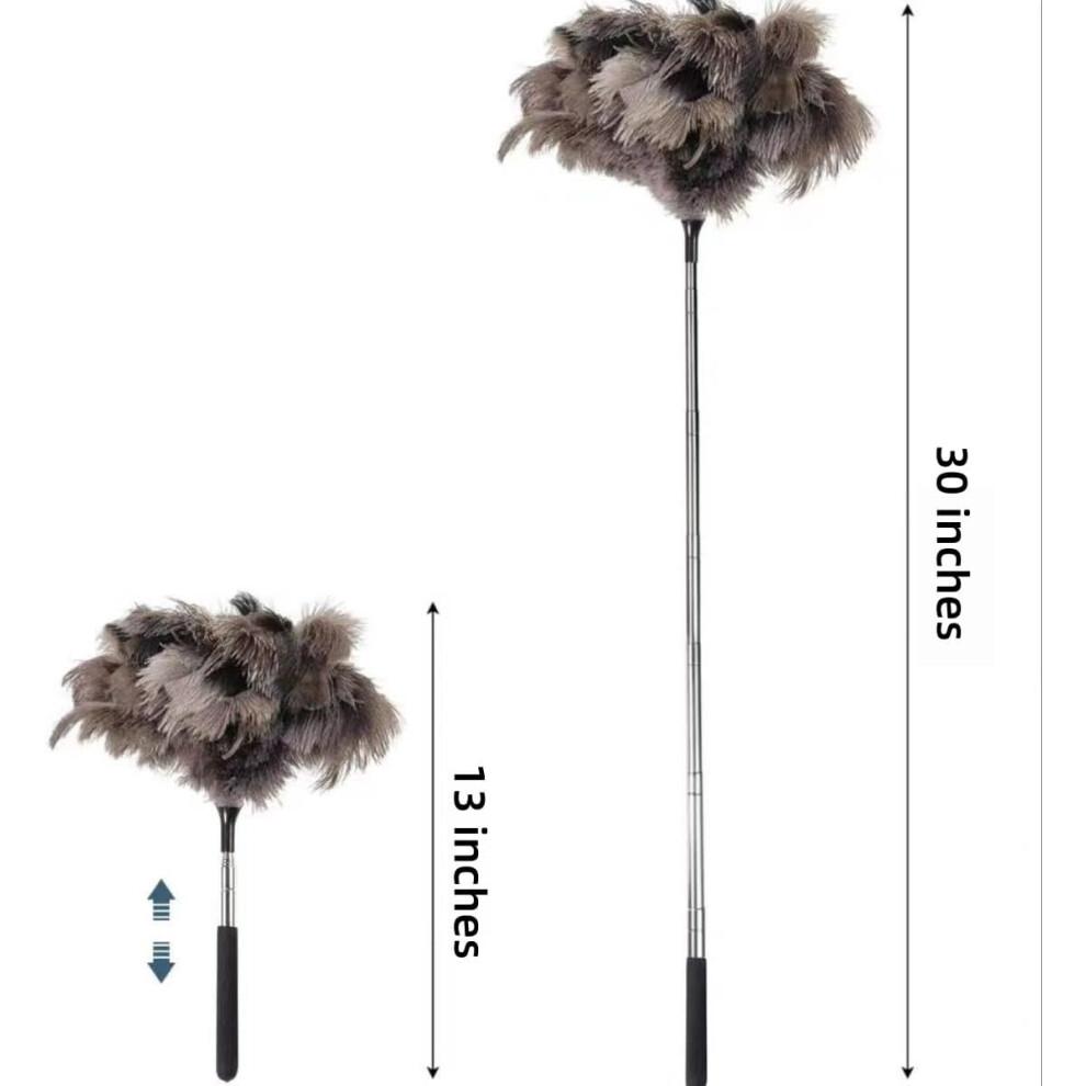 Natural Ostrich Feather Cat Teaser 30in Telescopic Rod Stainless Steel Undyed Feathers Dark Gray