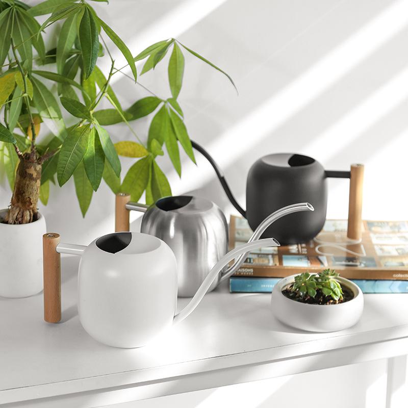 Stainless Steel Long-Spout Watering Can with Misting Sprayer for Gardens