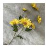 Artificial Daisy Silk Flower For Wedding Aisle And Home Decorations Fashion