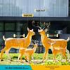Luminous Fiberglass Sika Deer Sculpture for Garden Lawn Decoration