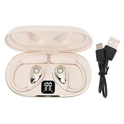 Language Translator Earbuds 144 Languages Supported Earhook Type Single Binaural Mode Switch AI